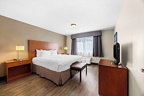 Best Western Inn At The Rogue