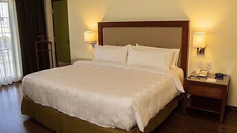 Holiday Inn Leon by IHG