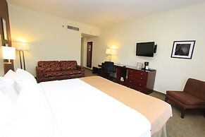 Holiday Inn Leon by IHG