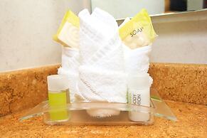 Holiday Inn Leon by IHG