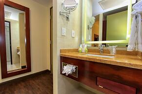 Holiday Inn Leon by IHG