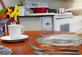 Centerstone Plaza Hotel Soldiers Field - Mayo Clinic Area