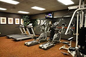 Centerstone Plaza Hotel Soldiers Field - Mayo Clinic Area