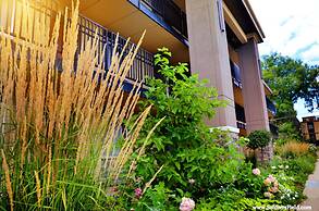 Centerstone Plaza Hotel Soldiers Field - Mayo Clinic Area