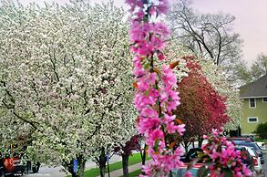 Centerstone Plaza Hotel Soldiers Field - Mayo Clinic Area