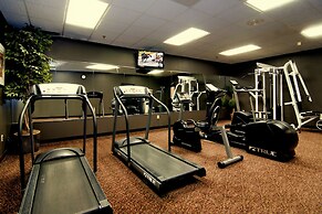 Centerstone Plaza Hotel Soldiers Field - Mayo Clinic Area