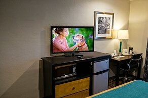 Quality Inn - Denton