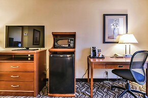 Comfort Inn & Suites Ambassador Bridge