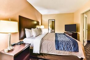 Comfort Inn & Suites Ambassador Bridge