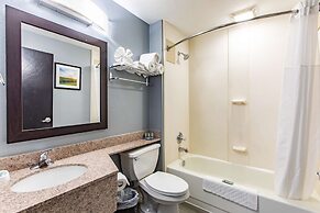 Best Western Rochester Hotel Mayo Clinic Area/St. Mary's