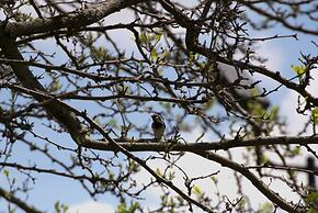 Bay Valley Resort & Conference Centre