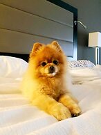 Wyndham Garden Hotel Austin