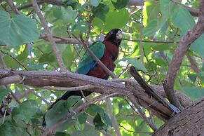 Nakelo Treasure Island Resort & Spa