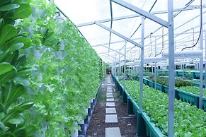 Swissotel The Stamford, Singapore