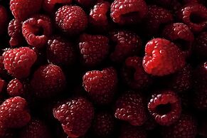 Hotel Imperial, a Luxury Collection Hotel, Vienna