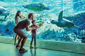 Wyndham I-Drive Avanti Resort & Conference Center