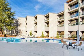 Sheraton Chapel Hill Hotel