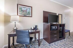 Best Western Spring Hill Inn & Suites