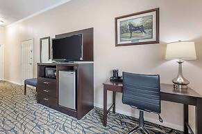 Best Western Spring Hill Inn & Suites