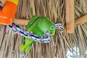 Best Western Plus Beach Resort