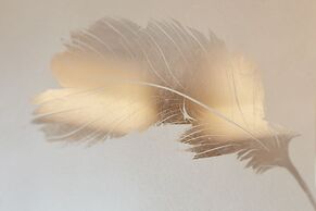 Mandarin Oriental Hyde Park, London