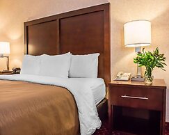 Comfort Inn Pocono Lakes Region