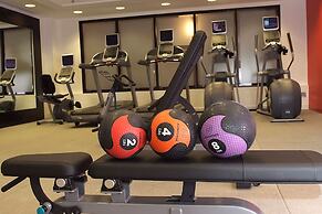 Embassy Suites by Hilton Detroit Metro Airport