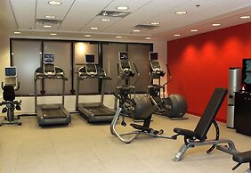 Embassy Suites by Hilton Detroit Metro Airport