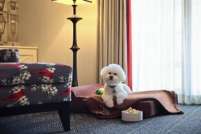 The Alexandrian Old Town Alexandria, Autograph Collection