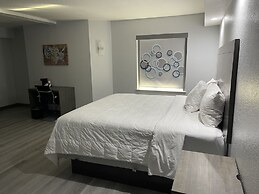 Quality Inn & Suites Richardson-Dallas