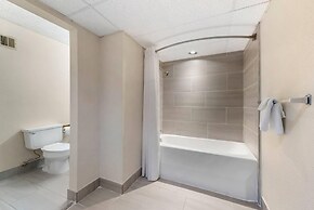 Quality Inn Alamosa