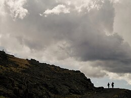 Trailborn Jackson Hole