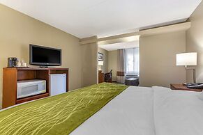 Comfort Inn & Suites Phoenix North / Deer Valley