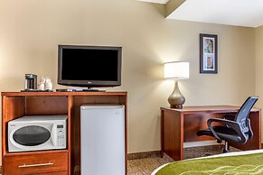 Comfort Inn & Suites Phoenix North / Deer Valley