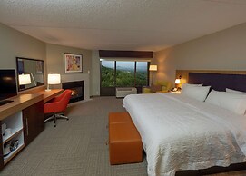 Hampton Inn Hazleton