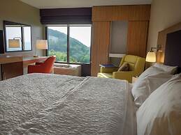 Hampton Inn Hazleton