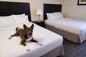 Radisson Hotel & Conference Centre West Edmonton