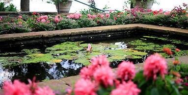 Holiday Inn Mobile West I-10 by IHG