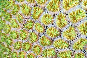 Le Meridien Phuket Beach Resort