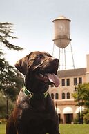 Fairmont Sonoma Mission Inn & Spa