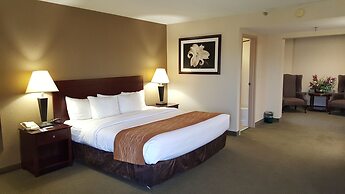 Comfort Inn Northeast