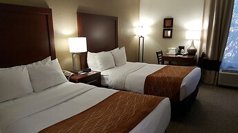 Comfort Inn Northeast