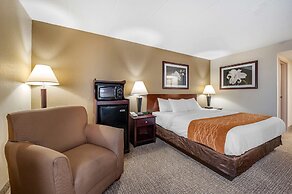 Comfort Inn Northeast