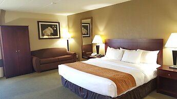 Comfort Inn Northeast