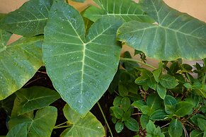 Hotel St. Pierre®, a French Quarter Inns® Hotel