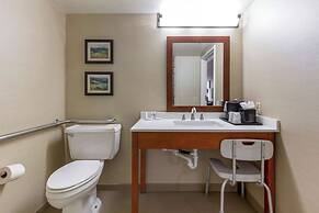 Comfort Inn University Durham - Chapel Hill