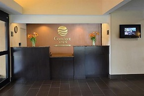 Comfort Inn University Durham - Chapel Hill