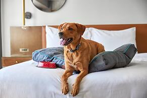 ARC HOTEL Washington DC, Georgetown