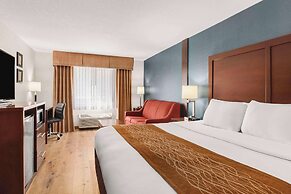 Comfort Inn & Suites Vancouver Downtown City Center