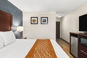 Comfort Inn & Suites Vancouver Downtown City Center